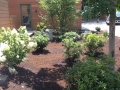 Planting Design, Antrim NH